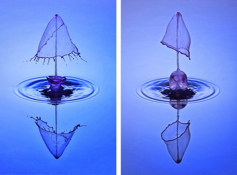 dropController. The most advanced water drop photography device available